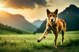 un' cane in esecuzione nel il erba con montagne nel il sfondo. ai-generato foto