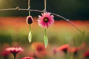 Due rosa fiori sospeso a partire dal un' ramo nel un' campo. ai-generato foto