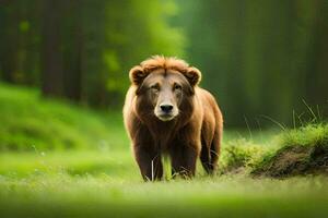 un' Leone a piedi attraverso un' foresta. ai-generato foto