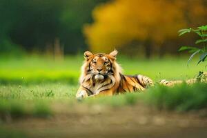 un' tigre seduta nel il erba. ai-generato foto