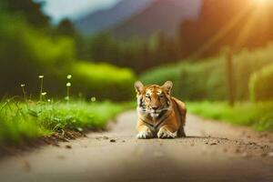 un' tigre a piedi giù un' strada nel il mezzo di un' campo. ai-generato foto