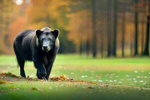 un' nero orso a piedi attraverso un' foresta. ai-generato foto