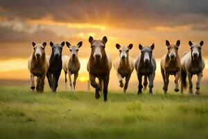 un' gruppo di cavalli in esecuzione nel il tramonto. ai-generato foto