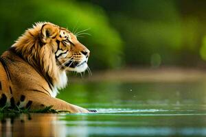 un' tigre seduta nel il acqua guardare a il telecamera. ai-generato foto