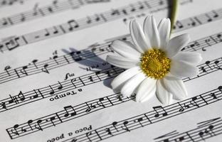 fiori flora margherita e note musicali fogli foto