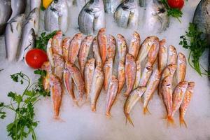 cibo per pesci in una bancarella del mercato del pesce foto