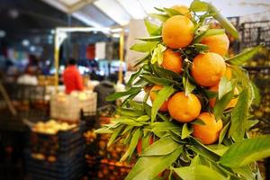 frutta fresca succosa mandarino