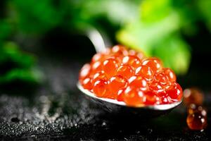 un' cucchiaio di rosso caviale con prezzemolo. foto