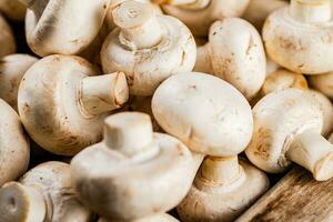 fresco aromatico funghi. macro sfondo. foto