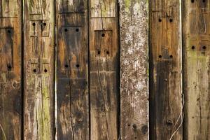 struttura astratta del fondo di legno del grunge foto