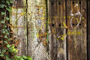 struttura astratta del fondo di legno del grunge foto