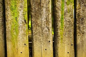 struttura astratta del fondo di legno del grunge foto