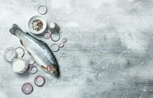 crudo pesce salmone con spezie e rosso cipolla anelli. foto