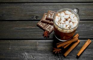 caldo cioccolato con cannella e marshmallows. foto