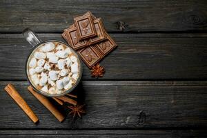 caldo cioccolato con cannella e marshmallows. foto