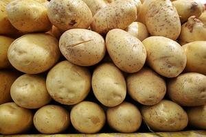 patata fresca di cibo vegetale biologico foto
