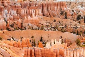 pilastri al parco nazionale di Bryce Canyon foto