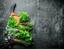 fresco erbe aromatiche tagliare nel il casa giardino. foto