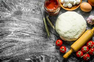 preparazione Pizza. vario ingredienti per cucinando Pizza. foto