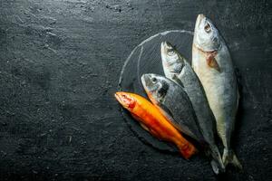 fresco mare pesce su un' pietra tavola. foto