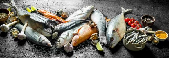 vario fresco pesce con Ostriche, lime fette e aglio. foto