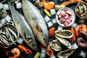 crudo pesce e frutti di mare con ghiaccio cubi. foto