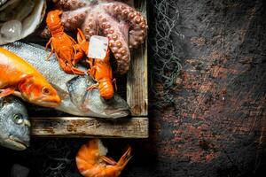 assortimento di diverso frutti di mare su vassoio con ghiaccio cubi. foto