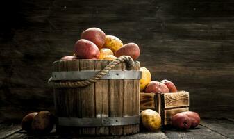 fresco patate nel un' di legno benna. foto