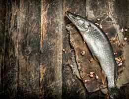 fresco impreparato luccio su un' taglio tavola. foto