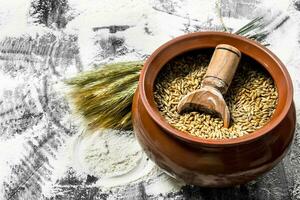 Grano cereali con un' notizia in anticipo nel un' ciotola. foto