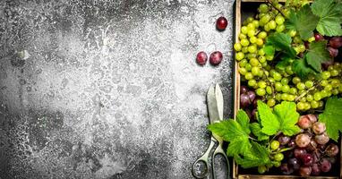 fresco uva con le foglie su un' di legno vassoio. foto