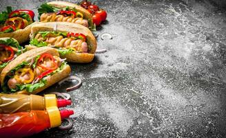 strada cibo. delizioso caldo cani con pomodoro salsa, mostarda e erbe aromatiche. foto