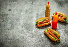 veloce cibo menù. caldo cani Manzo barbecue con erbe aromatiche , ketchup e caldo mostarda. foto