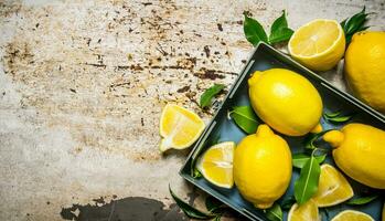 limoni nel un' metallo scatola con le foglie. gratuito spazio per testo . foto