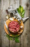 preparato tritato carne nel un' ciotola , macinino e spezie con erbe aromatiche. foto