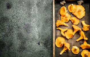 fresco funghi gallinacci su un' di legno vassoio. foto