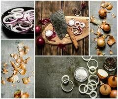 cibo collage di cipolle . foto