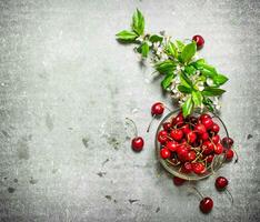 rosso ciliegia nel il tazza. foto