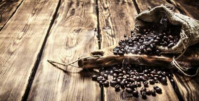 arrostito caffè fagioli nel un vecchio Borsa. foto