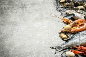 fresco frutti di mare con un' pesca rete. foto