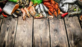 varietà di frutti di mare su un' pesca rete. foto