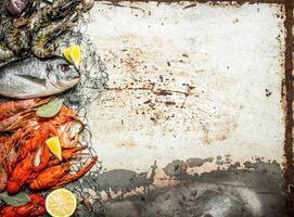 varietà di gamberetto , pesce, e mollusco su fishind rete. foto