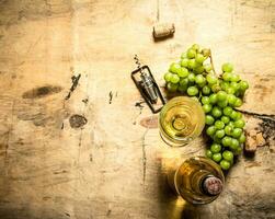 il ramo uva con un' bottiglia bianca vino . foto