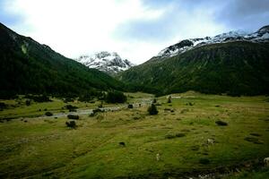 splendida alpino paesaggi di livigno e valtellinese nel luglio 2023, il montagne nel estate foto