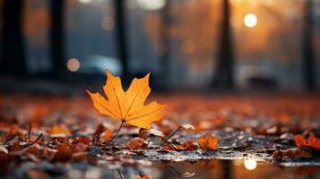 autunno scena con vivace acero foglia sfondo, sbalorditivo di stagione fogliame nel ricco, caldo colori, tranquillo autunno paesaggio con colorato caduta foglie, ai-generato foto