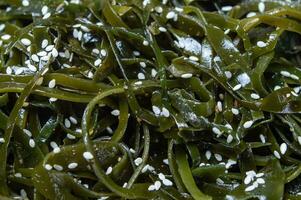 alga marina insalata. asiatico cucina. alga marina fuco cosparso con sesamo semi, avvicinamento, morbido messa a fuoco. laminari foto