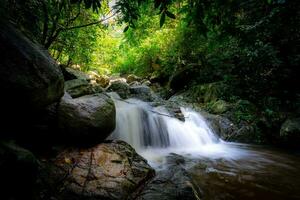 cascata è fluente nel giungla. cascata nel verde foresta. montagna cascata. a cascata ruscello nel lussureggiante foresta. natura sfondo. roccia o pietra a cascata. acqua sostenibilità. acqua conservazione. foto