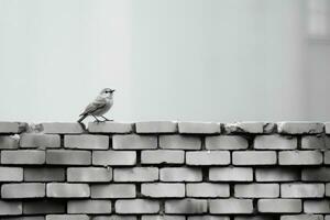 un' nero e bianca foto di un' uccello seduta su superiore di un' mattone parete generativo ai