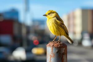 un' giallo uccello su un' polo generativo ai foto