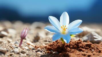 un' piccolo blu fiore è in crescita su di il terra generativo ai foto